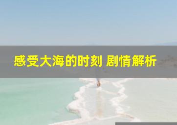 感受大海的时刻 剧情解析